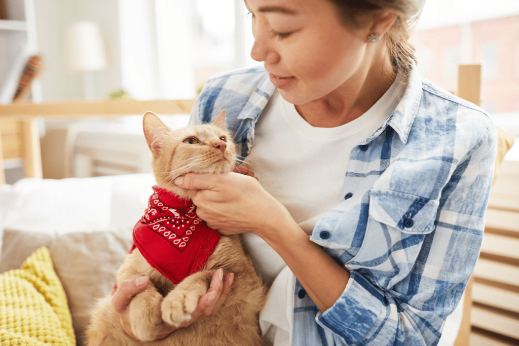 Entender como o gato vê o seu dono envolve mais do que apenas observar o comportamento deles – requer conhecer os sinais sutis que indicam confiança, segurança e afeto. Embora os gatos possam não demonstrar amor da mesma forma que os cães, suas ações, como ronronar, piscar lentamente e esfregar a cabeça em você, são gestos claros de carinho e conexão.