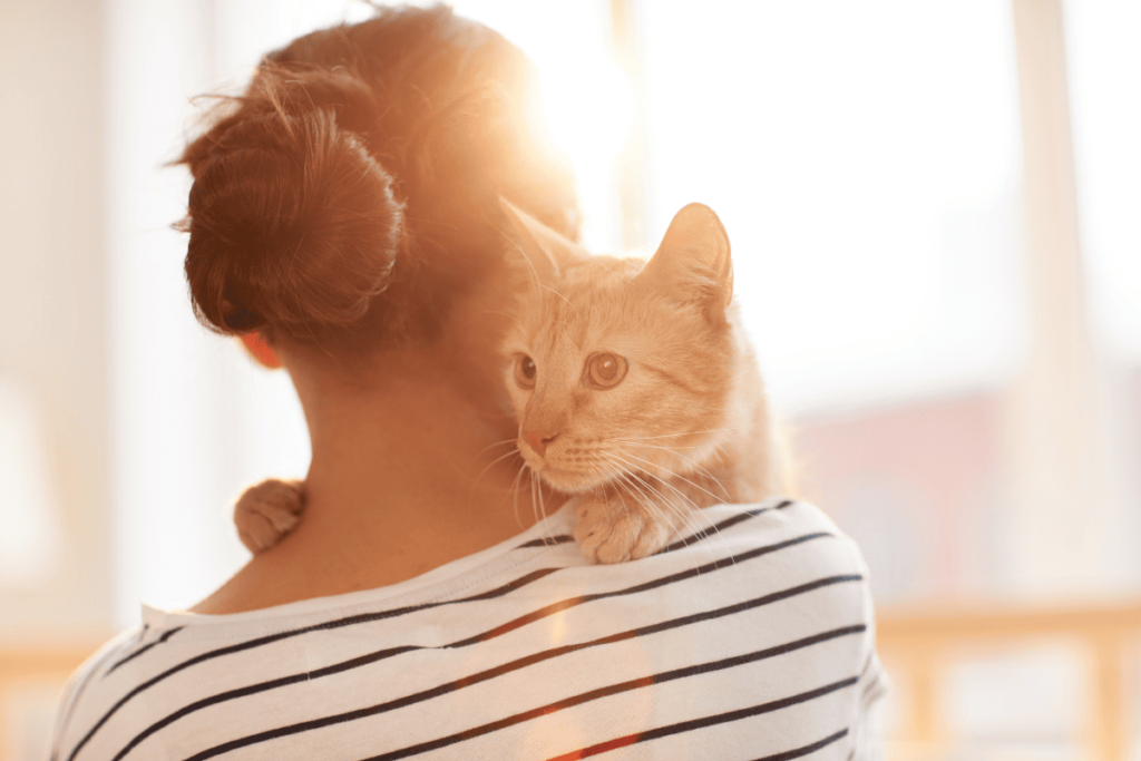 Entender como o gato vê o seu dono envolve mais do que apenas observar o comportamento deles – requer conhecer os sinais sutis que indicam confiança, segurança e afeto. Embora os gatos possam não demonstrar amor da mesma forma que os cães, suas ações, como ronronar, piscar lentamente e esfregar a cabeça em você, são gestos claros de carinho e conexão.