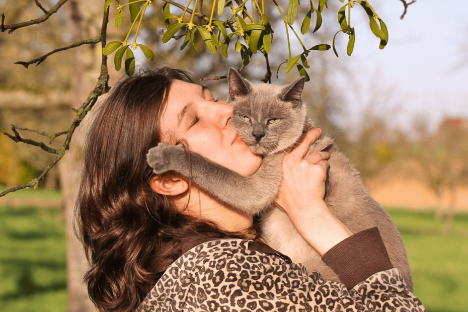 Entender como o gato vê o seu dono envolve mais do que apenas observar o comportamento deles – requer conhecer os sinais sutis que indicam confiança, segurança e afeto. Embora os gatos possam não demonstrar amor da mesma forma que os cães, suas ações, como ronronar, piscar lentamente e esfregar a cabeça em você, são gestos claros de carinho e conexão.