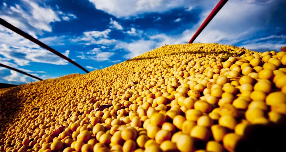 Soja inicia pregão com leve avanço em Chicago; milho e trigo recuam - Imagem do artigo