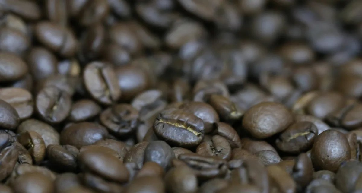 Café, cacau e algodão avançam na Bolsa de Nova York; açúcar fica estável - Imagem do artigo