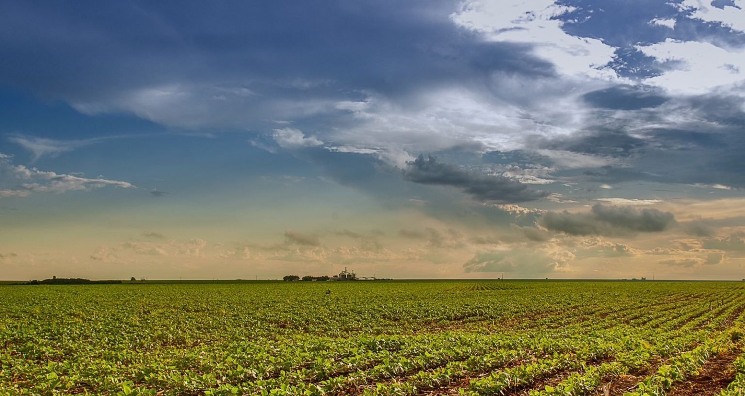 AgResource prevê menor avanço de área para soja no Brasil em cinco anos na safra 2025/26 - Imagem do artigo
