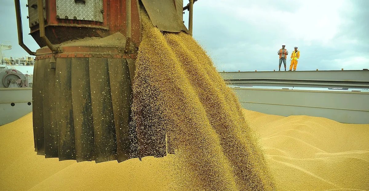 Soja recua nos portos brasileiros no início da semana - Imagem do artigo
