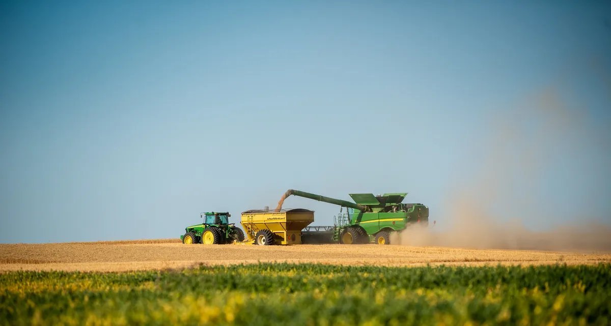 Grãos recuam na Bolsa de Chicago com avanço da colheita nos EUA e dólar forte - Imagem do artigo