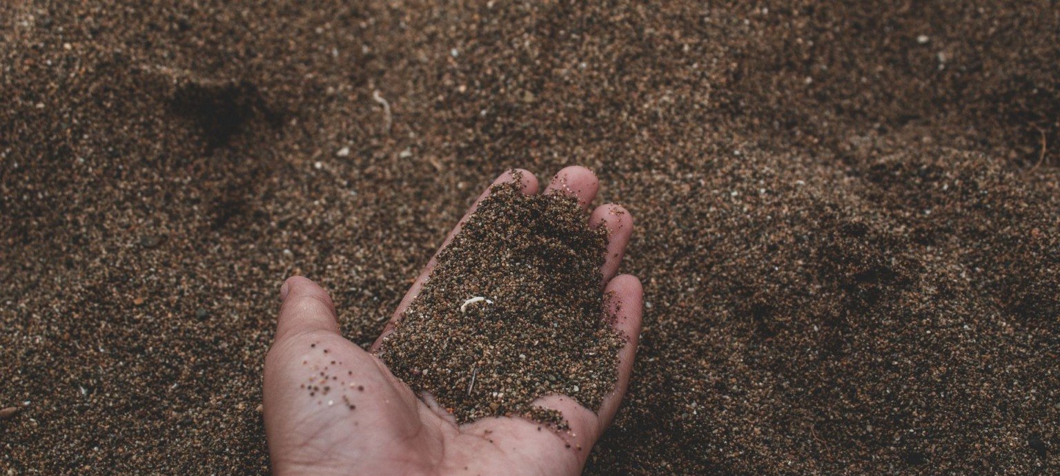Agrônomo aponta capins mais indicados para pastagens em solo arenoso - Imagem do artigo