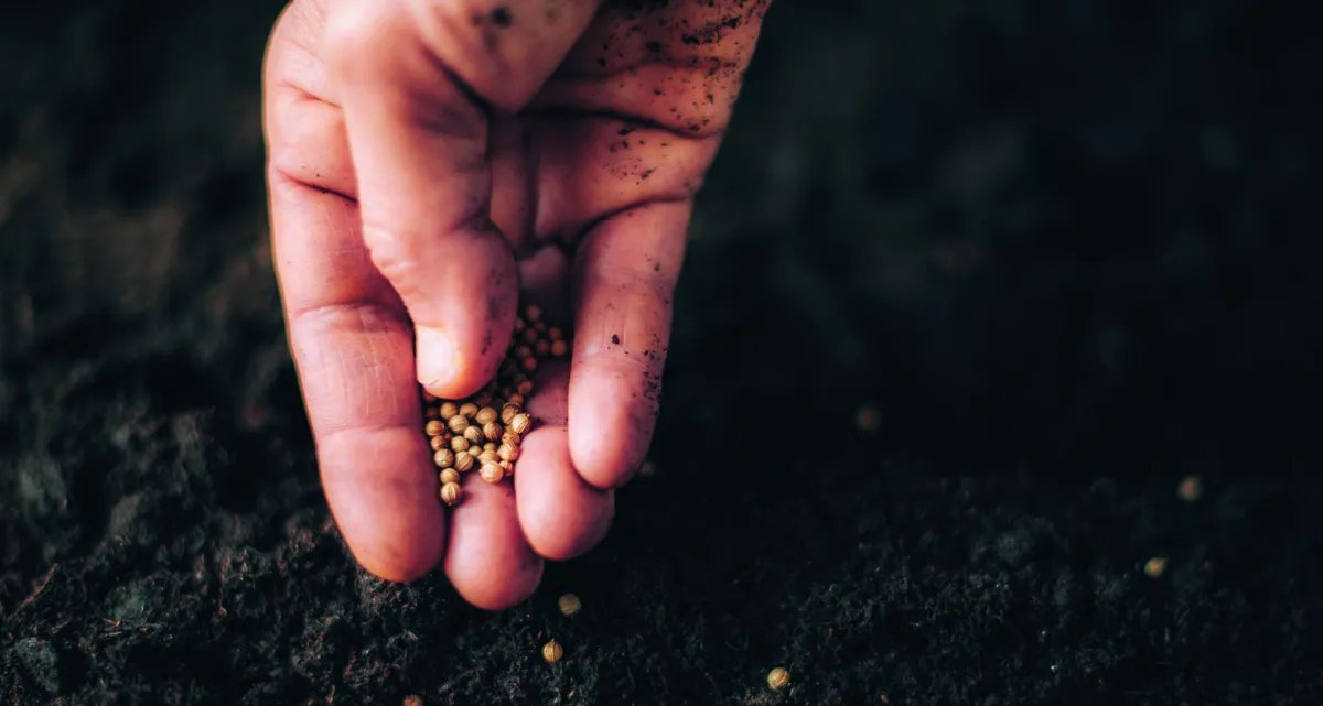 Yara destina mais US$ 40 milhões a equipes de bioinsumos, com metade do valor para o Brasil - Imagem do artigo