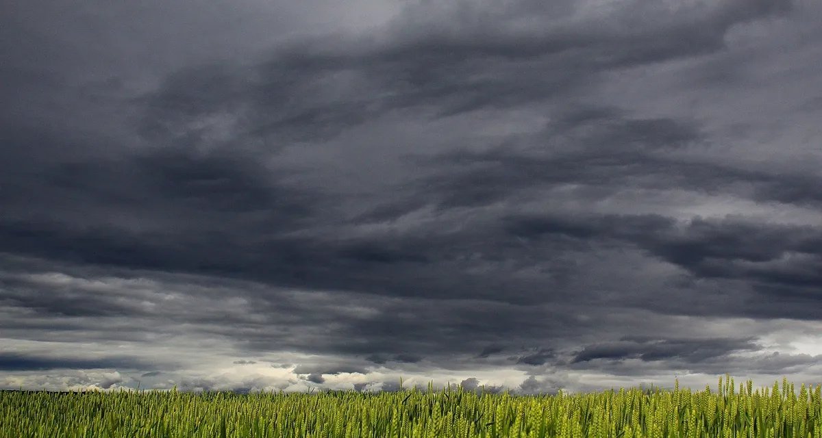 Chuva volta ao Sul e parte do Sudeste, enquanto calor supera 40 °C no Centro-Oeste no fim de semana - Imagem do artigo