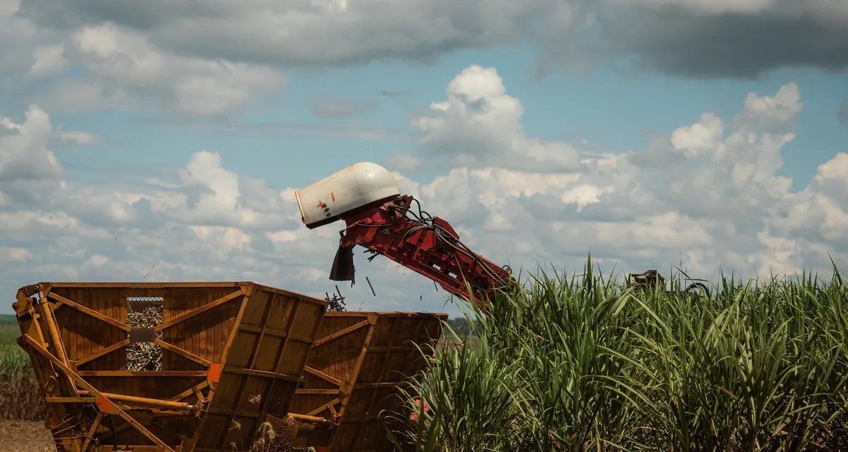 Usinas ligadas a esquema do PCC respondem por 2,5% da moagem de cana do Centro-Sul, estima BTG - Imagem do artigo