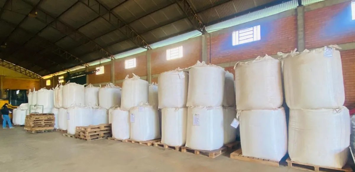 Operação apreende 3 mil toneladas de sementes irregulares no RS e causa prejuízo de R$ 35 milhões - Imagem do artigo