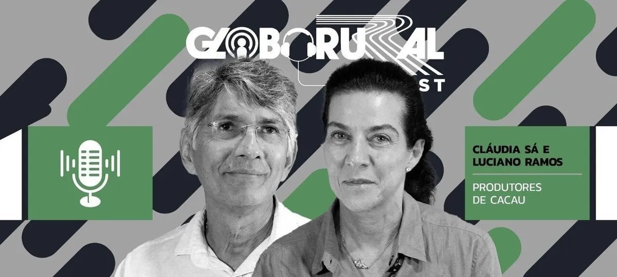 Produtores baianos mostram cenário do cacau diante de preços em alta e produtividade limitada - Imagem do artigo