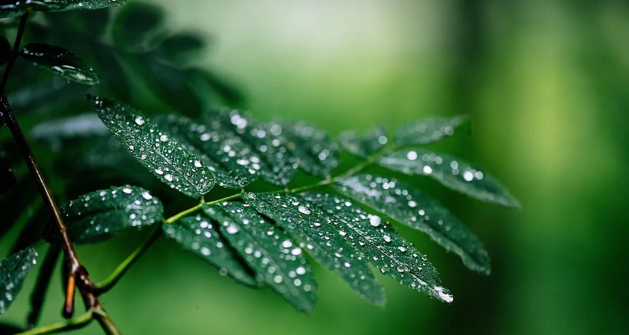 Frente fria leva chuva ao Sul, enquanto calor e tempo seco persistem no Centro-Oeste - Imagem do artigo