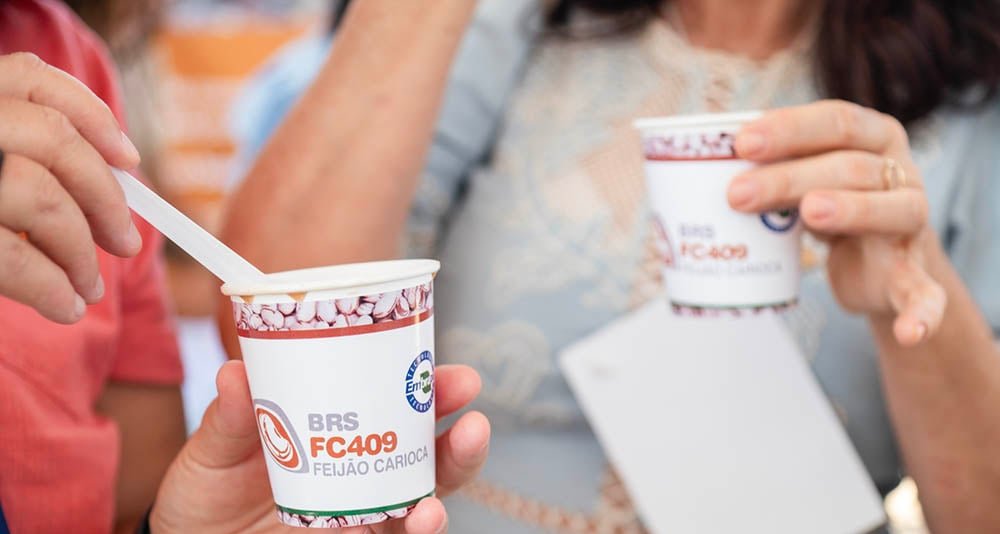 Embrapa apresenta feijão-carioca BRS FC409 com mais ferro e zinco no Semiárido Show 2025 - Imagem do artigo