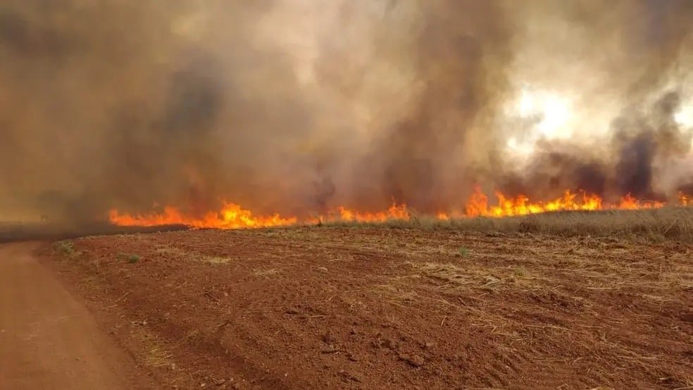Aprosoja Tocantins orienta produtores a reunir provas diante do avanço de queimadas - Imagem do artigo original