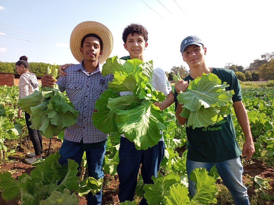 De aluno a professor: ex-participante do Jovem Agricultor do Futuro orienta nova geração no interior paulista - Imagem do artigo original