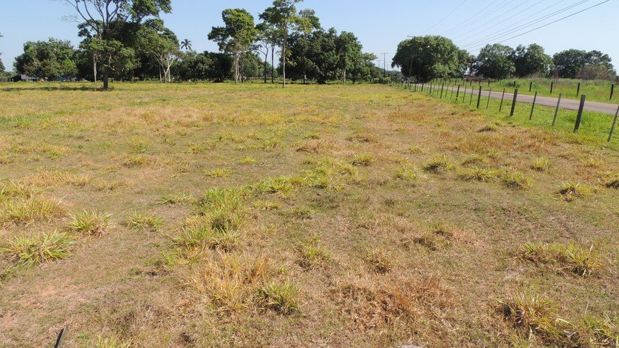 Ministério prioriza juros baixos e distribuição ampla de crédito para recuperar áreas degradadas - Imagem do artigo original