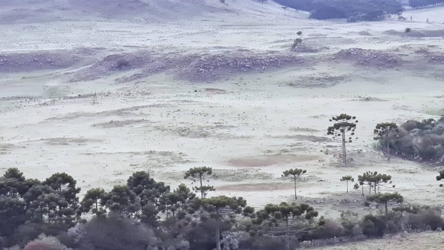 Geada avança sobre seis estados do centro-sul nesta terça-feira, aponta Climatempo - Imagem do artigo original