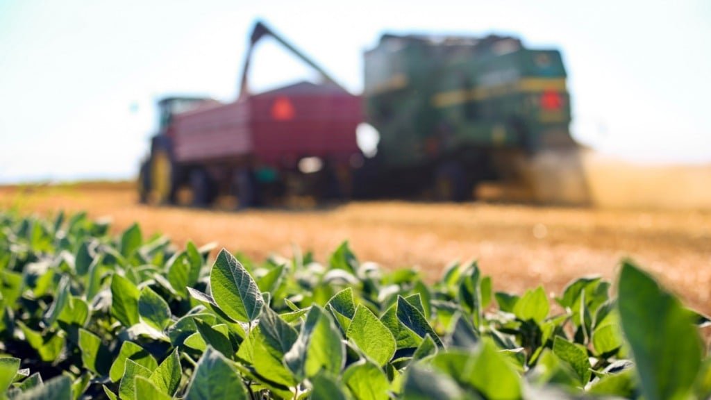 Brasil avança no agronegócio global em meio a crise sanitária nos EUA, diz secretário do Mapa - Imagem do artigo original