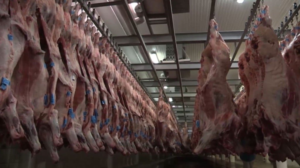 Demanda chinesa leva exportação de carne bovina de Mato Grosso a recorde de 89,4 mil toneladas em julho - Imagem do artigo original