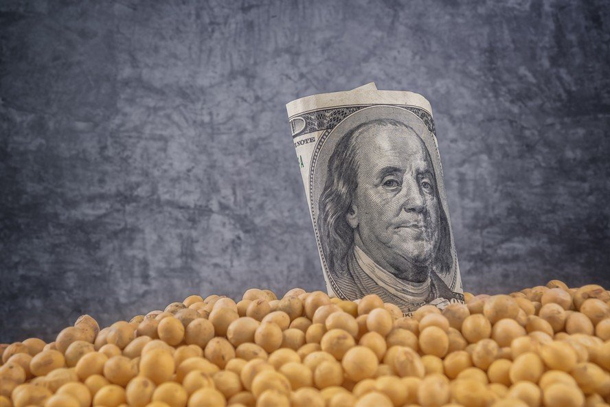 Dólar recua e preço da soja cai no mercado brasileiro, mesmo com corte na safra dos EUA - Imagem do artigo original