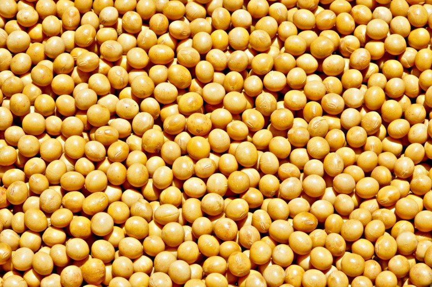 Soja chega a R$ 141,83 em Paranaguá e preços sobem na maior parte das praças brasileiras - Imagem do artigo original