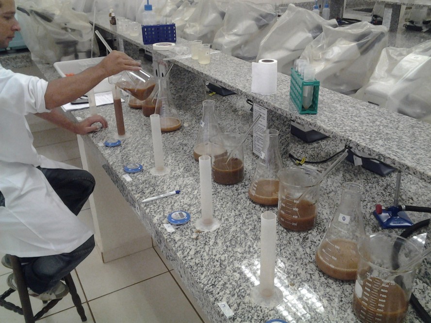 Estudo indica manutenção da qualidade do açúcar de cana por até 24 horas após a colheita - Imagem do artigo original