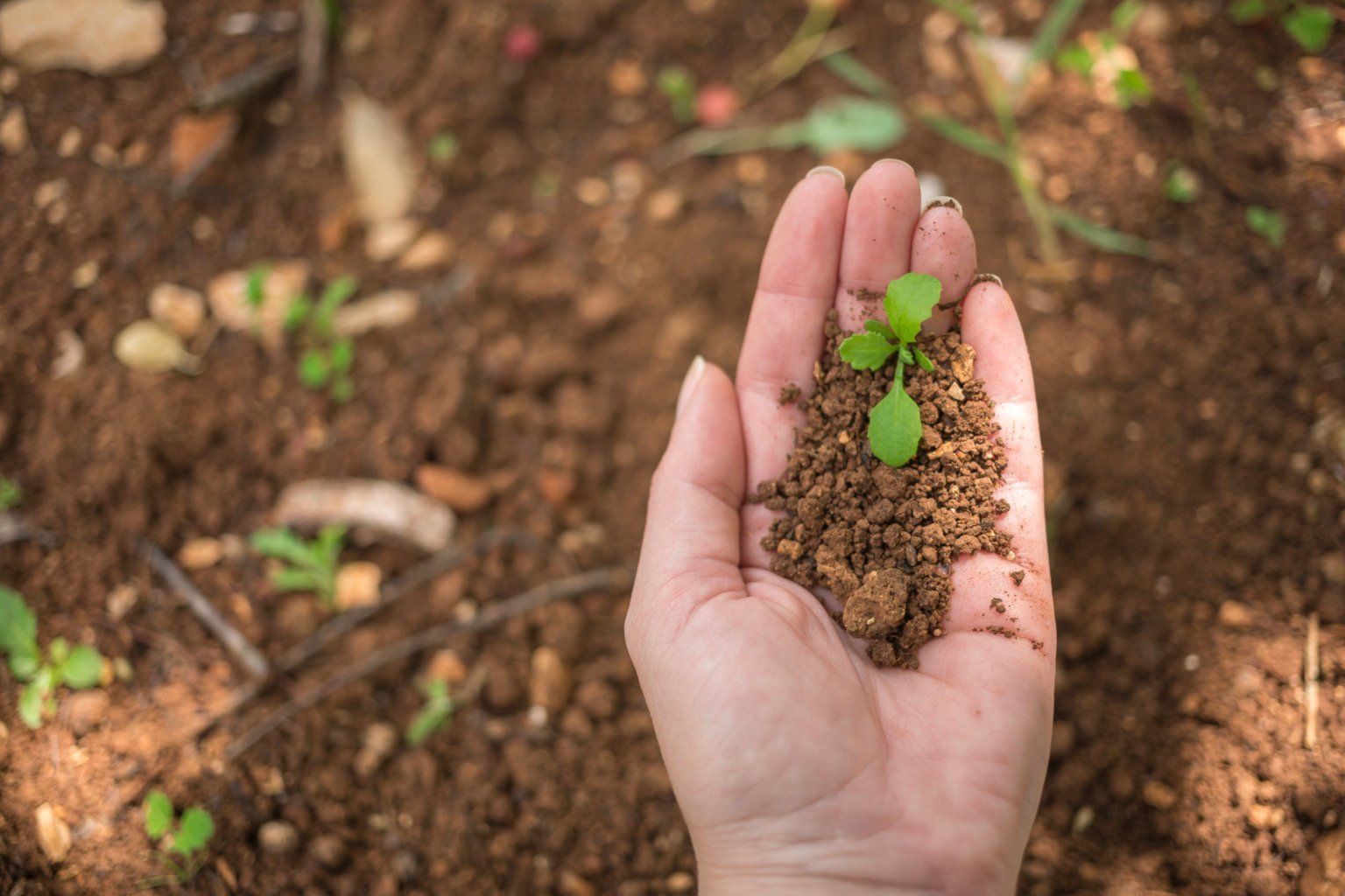 Agronegócio mira aumento de consumo energético com fontes renováveis, afirma Abag - Imagem do artigo