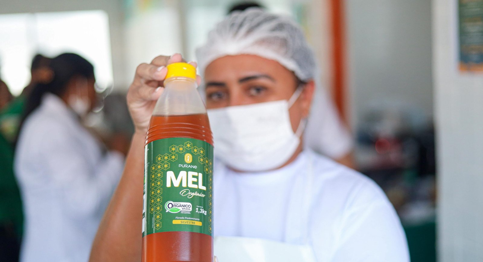 Piauí compra 11 toneladas de mel para merenda após tarifa dos EUA travar exportações - Imagem do artigo