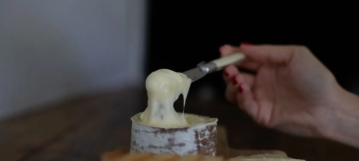 Queijo catarinense Morro Azul integra lista dos 100 melhores do mundo, aponta Taste Atlas - Imagem do artigo