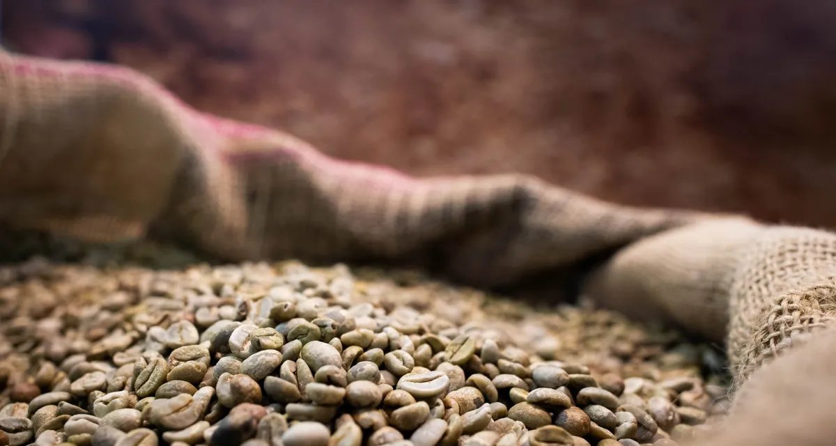 3 Corações e Melitta elevam preços do café no mercado brasileiro - Imagem do artigo