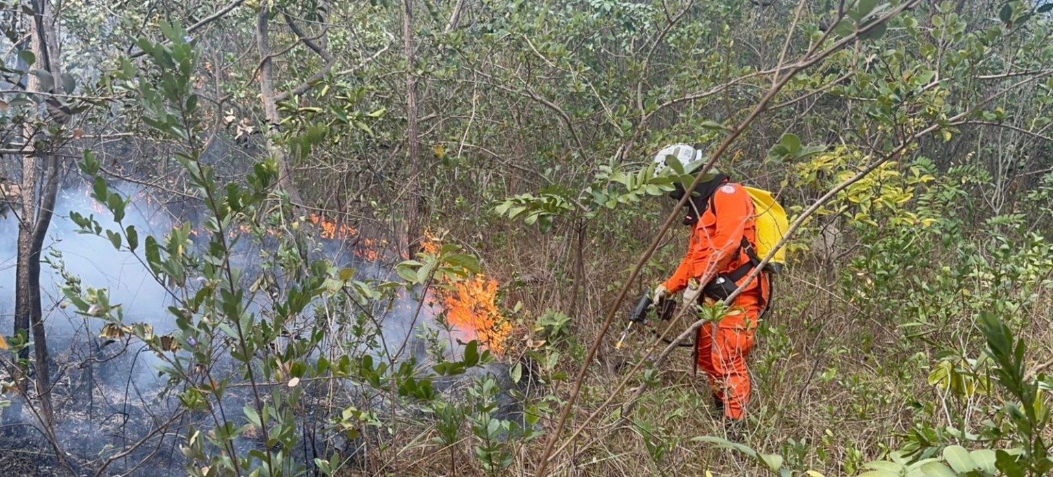 Série “Cerrado Sem Fogo” revela rotina dos bombeiros baianos no combate às queimadas - Imagem do artigo