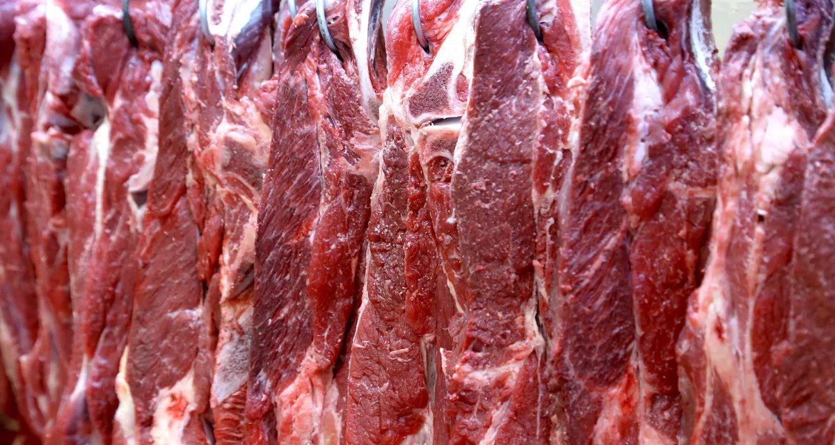 Tarifas dos EUA podem provocar perda de até US$ 400 milhões nas exportações brasileiras de carne bovina - Imagem do artigo