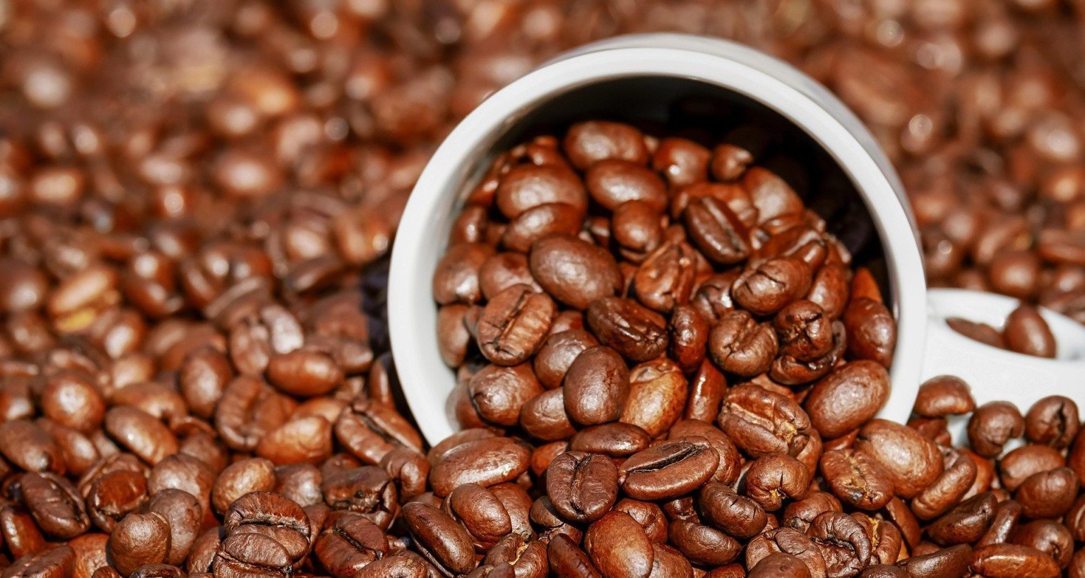 Safra de café em 2025 é projetada em 56,8 milhões de sacas, queda de 7%, aponta IBGE - Imagem do artigo