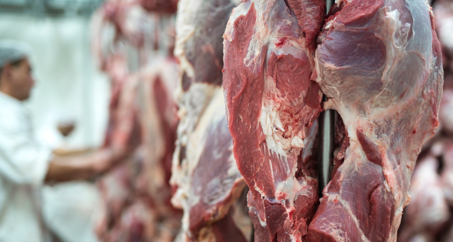 Mercosul e EFTA firmam acordo que zera tarifas e amplia espaço para carnes, café e frutas do Brasil - Imagem do artigo