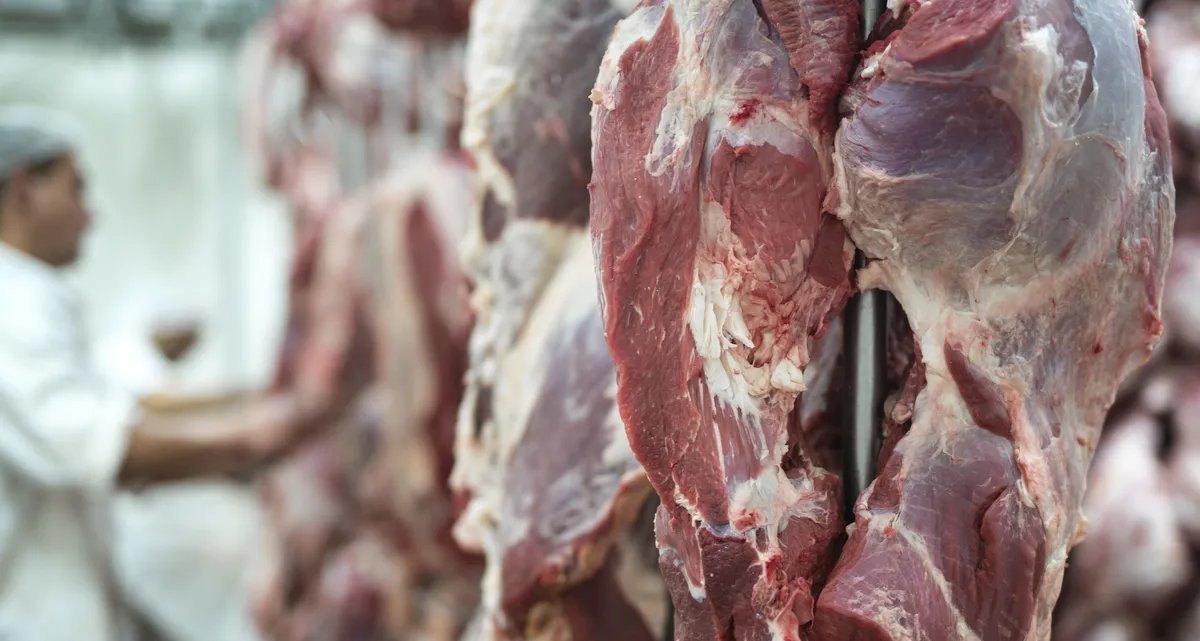 Projeção indica queda de 22% na exportação de carne bovina brasileira aos EUA em setembro - Imagem do artigo