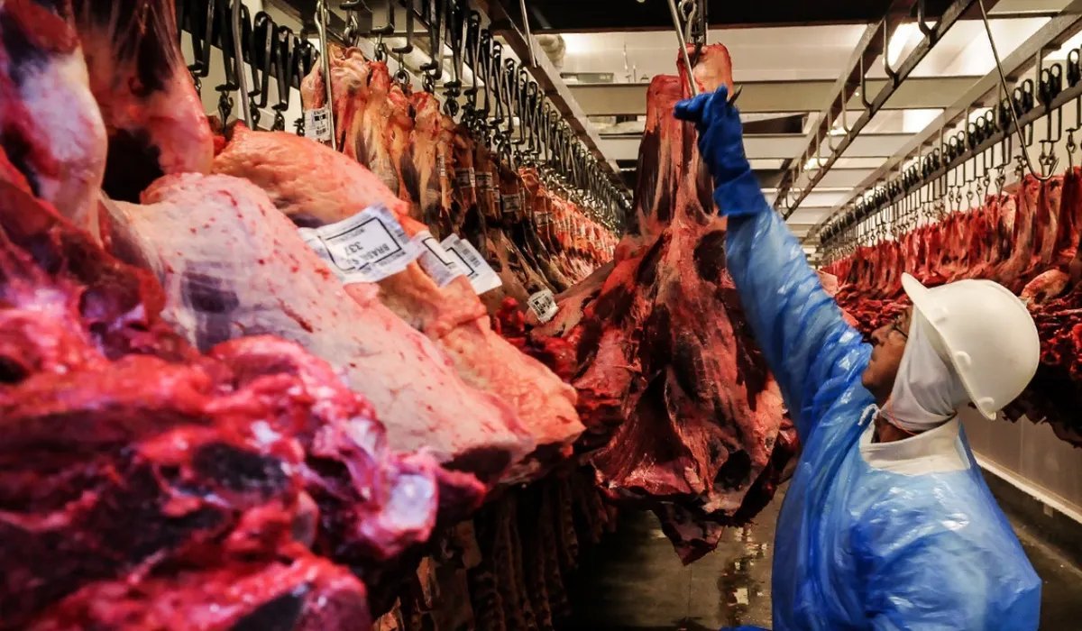 Pecuaristas defendem carne bovina de maior qualidade para disputar preços internacionais - Imagem do artigo