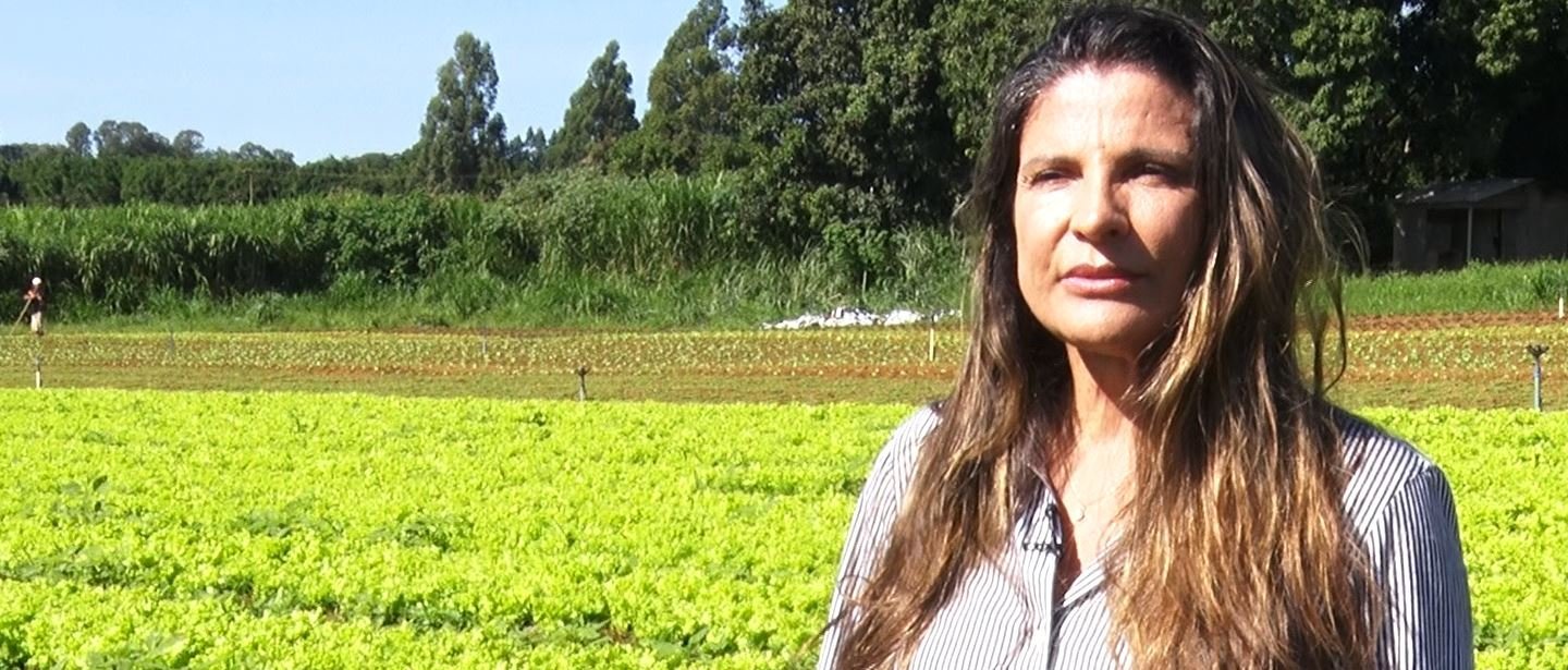 Sebrae acompanha produtora rural há mais de 20 anos e impulsiona expansão de agroindústria - Imagem do artigo