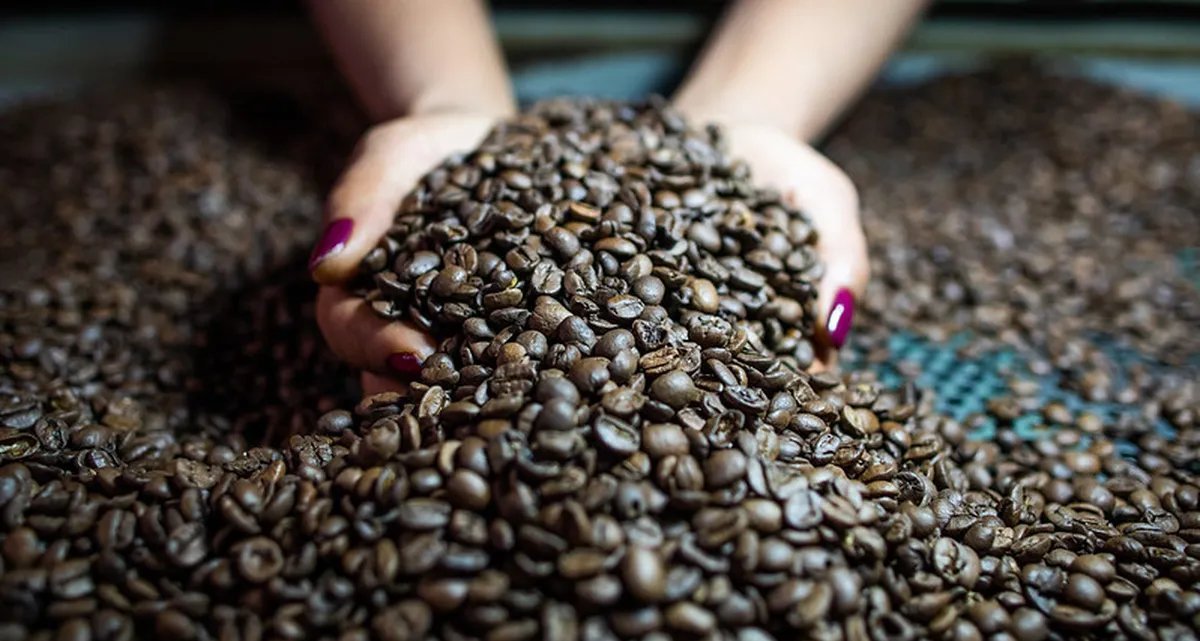 Café recua 3,5% em Nova York; açúcar avança e cacau perde força - Imagem do artigo