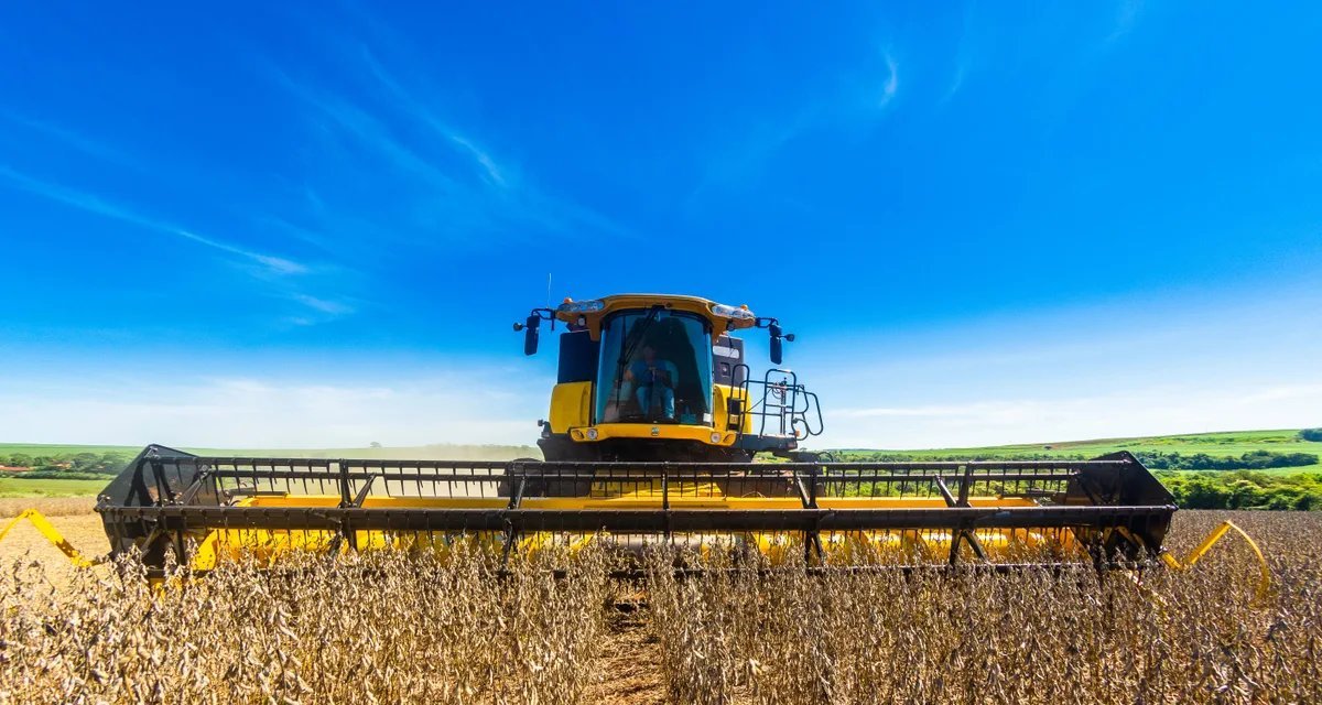 Produção agropecuária soma R$ 1,406 trilhão em agosto e cresce 11,3% sobre 2024 - Imagem do artigo