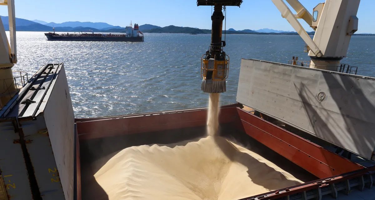 Brasilagro planeja dobrar entregas de soja diretamente nos portos para cortar custos de frete - Imagem do artigo