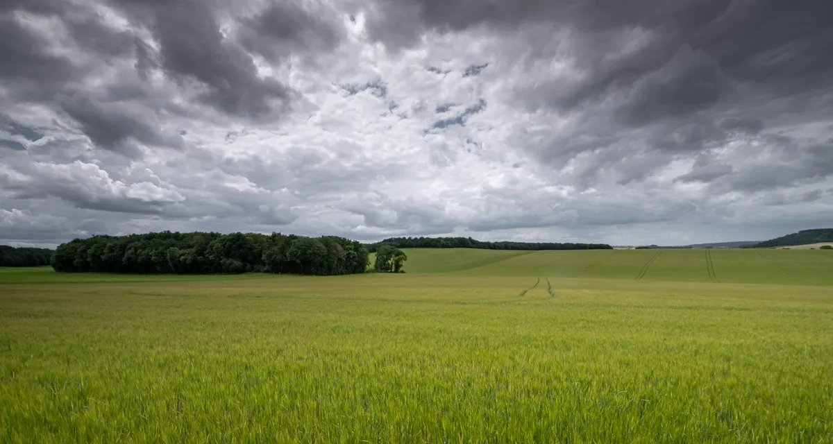 Chuva retorna ao Sul enquanto ar seco domina parte do Centro-Oeste e Sudeste - Imagem do artigo