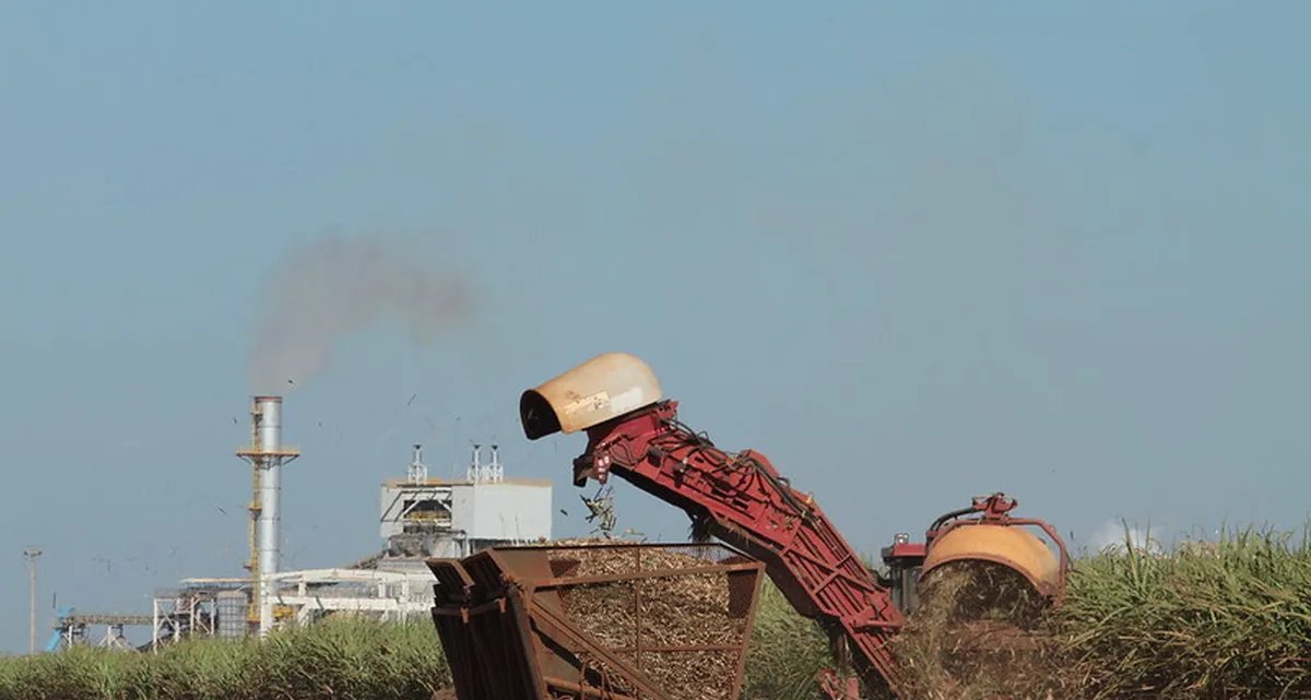 Produção maior deve pressionar preço do etanol a partir da safra 2026/27 - Imagem do artigo