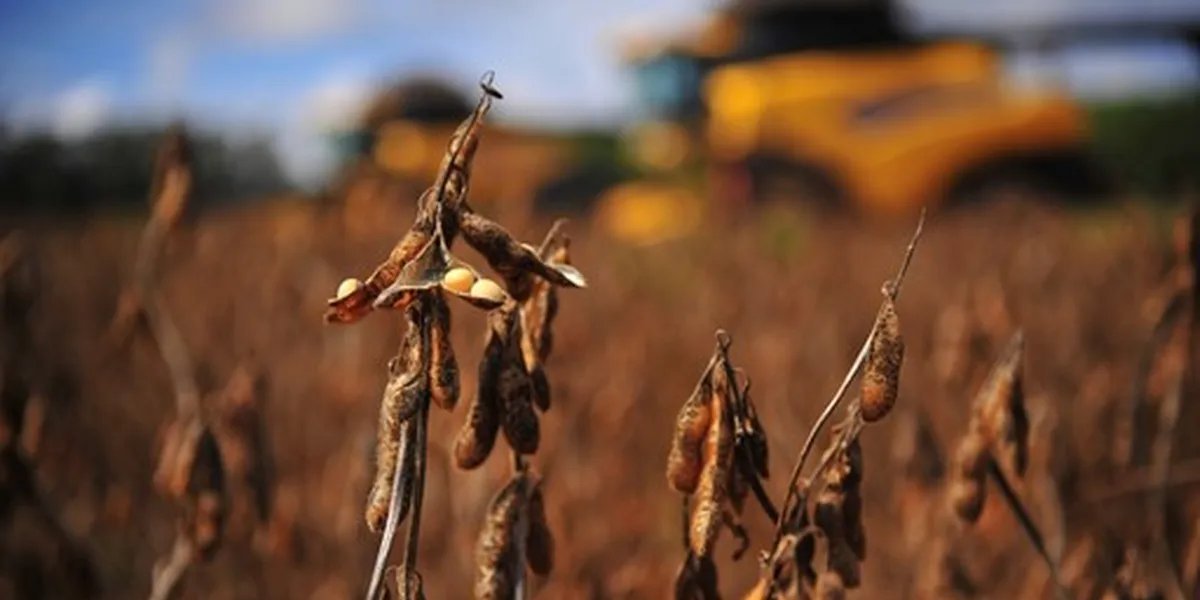 Produtores gaúchos cobram ajuste nos critérios que definem municípios aptos à renegociação de dívidas rurais - Imagem do artigo