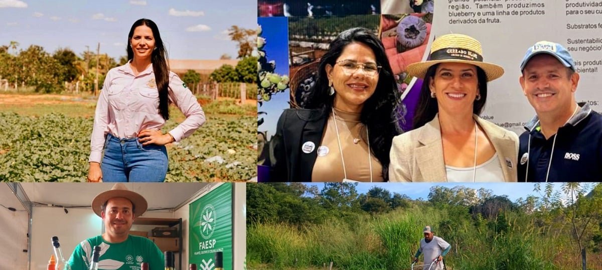 Dia Nacional do Empreendedor celebra quem gera empregos e desenvolvimento no Brasil - Imagem do artigo