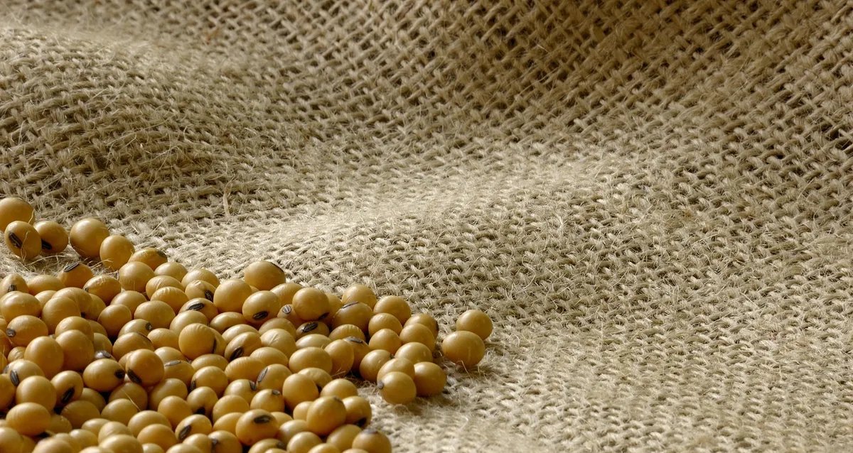 Juro elevado e aumento de inadimplência reduzem acesso de pequenas e médias do agro aos CRAs - Imagem do artigo