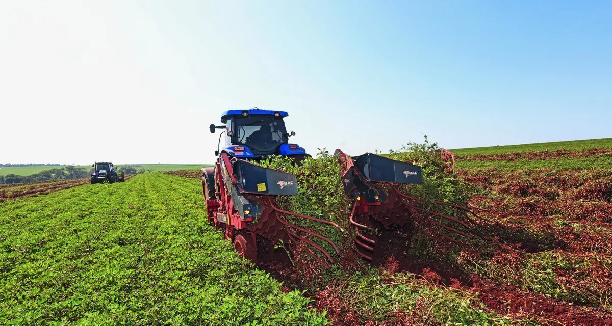 Produtores e empresas do agro ampliam uso de FIDCs diante da retração bancária - Imagem do artigo