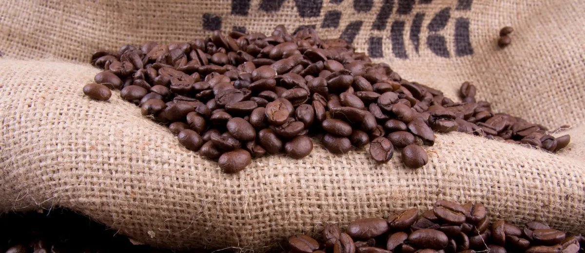 Exportações brasileiras de café recuam 18,4% em setembro e setor pressiona por resposta ao tarifaço dos EUA - Imagem do artigo