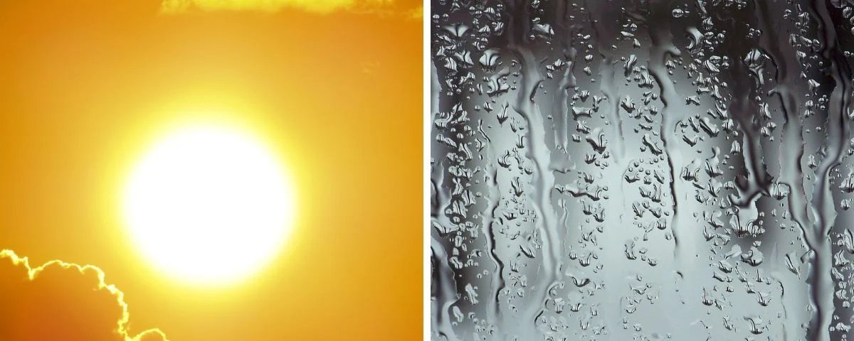 Chuvas irregulares atrasam plantio de arroz e feijão; excesso de umidade afeta Sul, enquanto Centro-Oeste e Sudeste avançam - Imagem do artigo
