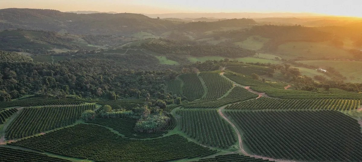 Orfeu recebe a primeira certificação brasileira de agricultura regenerativa da Rainforest Alliance para café - Imagem do artigo