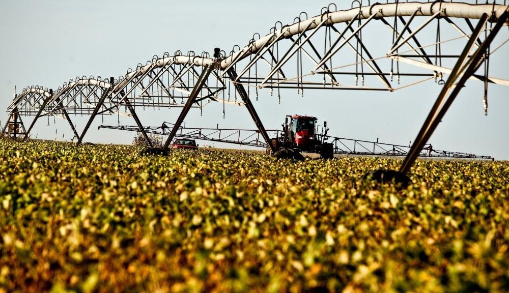 Especialista aponta falta de seguro rural como fator central de endividamento no agronegócio - Imagem do artigo