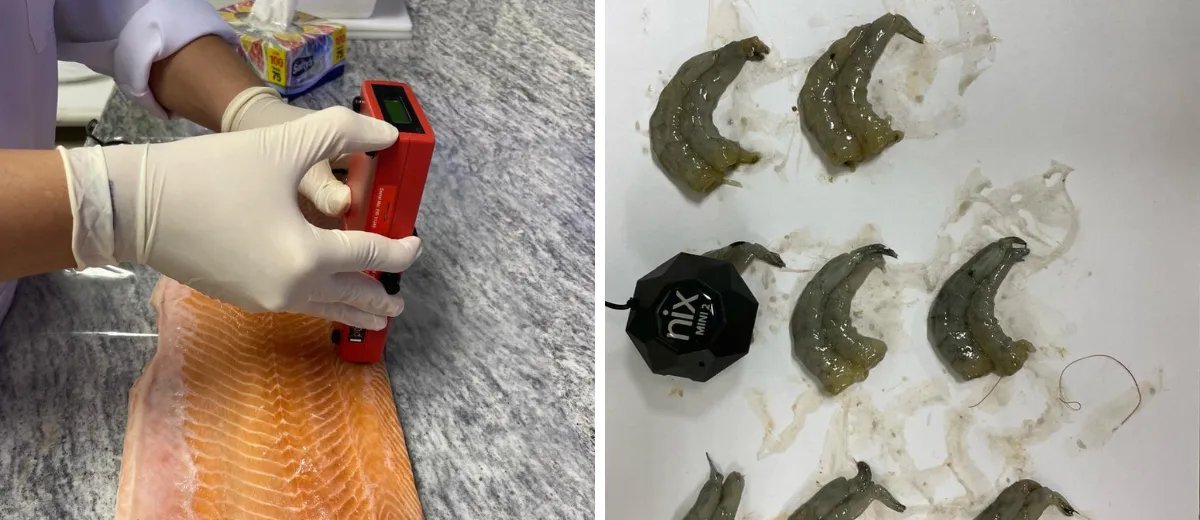 Embrapa mapeia sabor, cor e textura de seis espécies para produtos de peixe sem proteína animal - Imagem do artigo